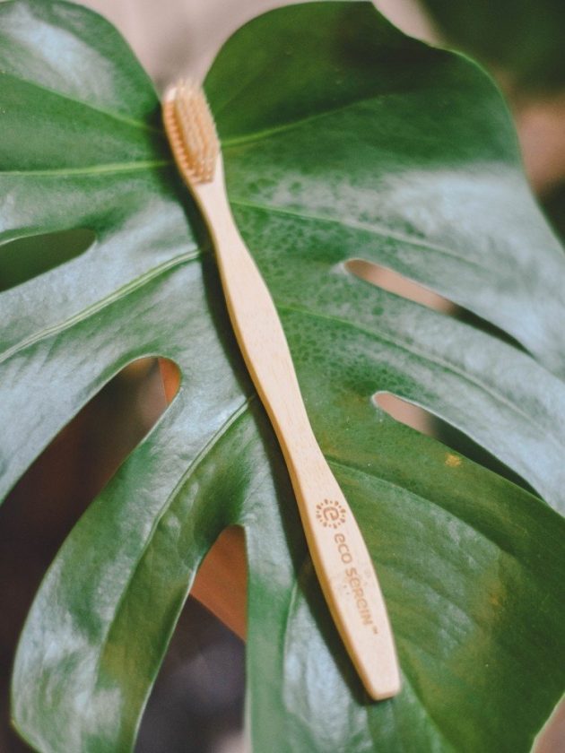 Bamboo Toothbrushes