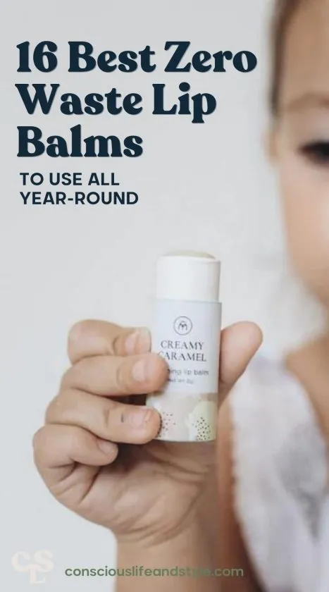 16 Best Zero Waste Lip Balms to Use All Year-Round - Conscious Life and Style