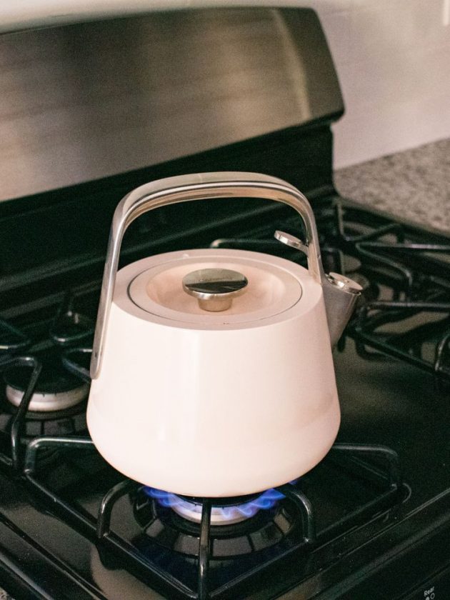 White non-toxic kettle