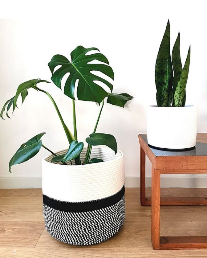 Sustainable planters made from eco-friendly materials