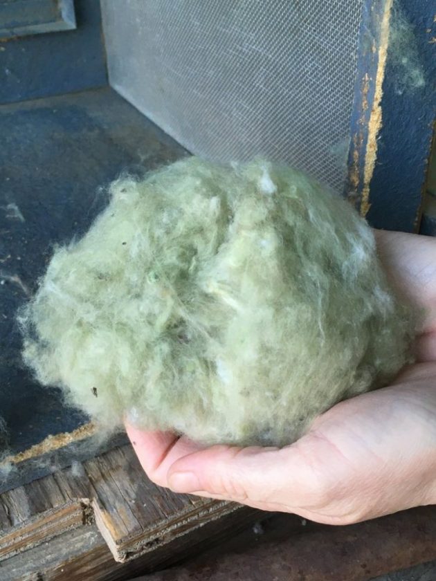 Sustainable cotton 