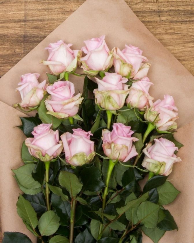 Fair Trade roses from Sense Ecuador