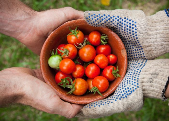 How to Eat Local and Sustainable