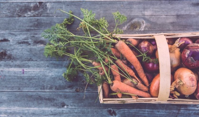 Community Supported Agriculture box of carrots and onions in a basket