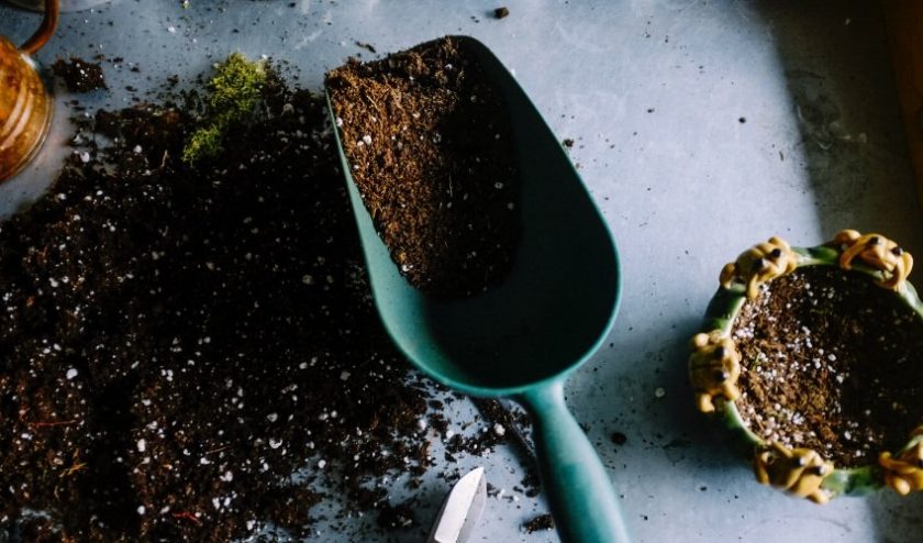 Dirt with scooper - grow your own garden or join a community garden to eat local