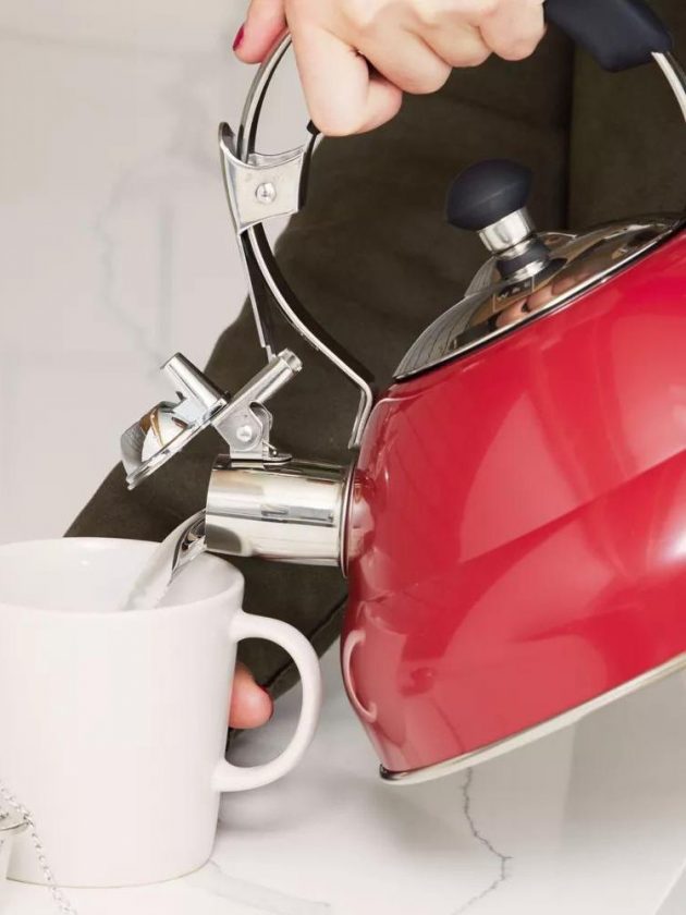 red non-toxic kettle