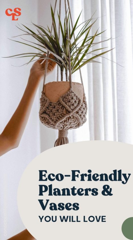 9 Eco-Friendly Planters & Vases  - Conscious Life and Style