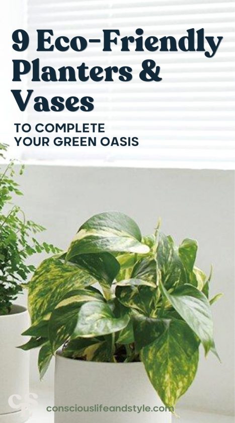 9 Eco-Friendly Planters & Vases to Complete Your Green Oasis - Conscious Life and Style