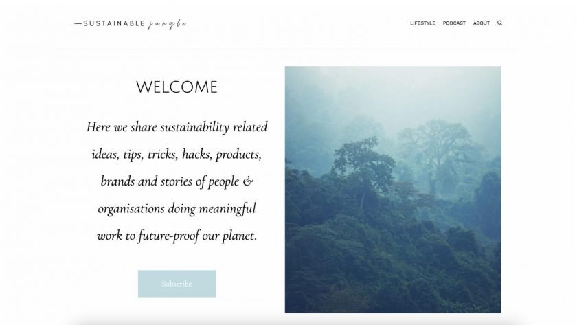 Sustainable Jungle homepage screenshot - eco living blogs