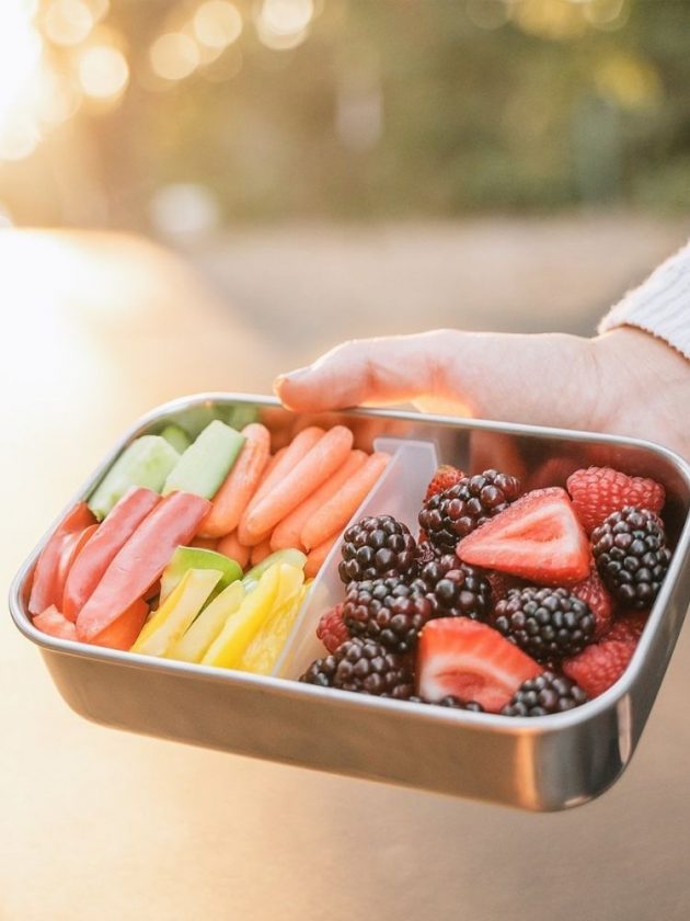 Stainless Steel Container for Plastic-Free Food Storage