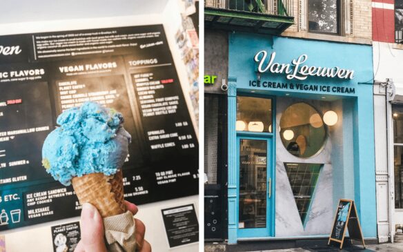 Vegan ice cream new york