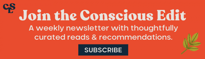 The Conscious Edit Subscription Banner_Red